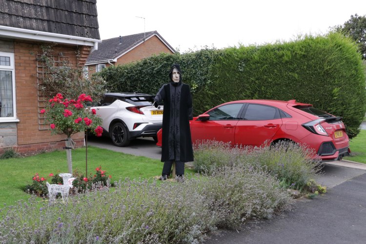 image of scarecrow