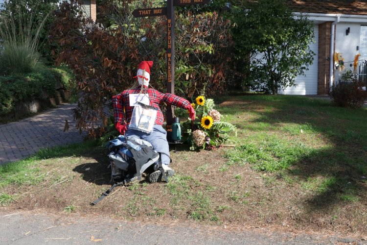image of scarecrow