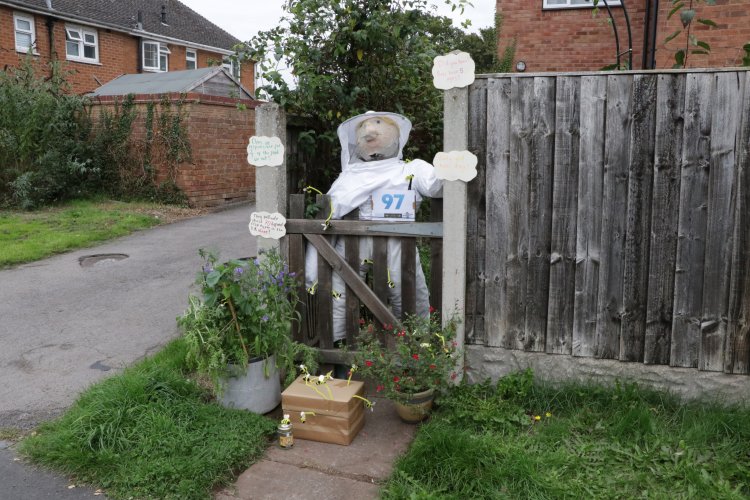 image of scarecrow